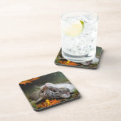 Kute Daydreaming Tabby Cat in een herfstbos Bier Onderzetter (Rechterzijde)