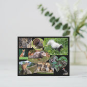 Kute dieren briefkaart (Staand voorkant)