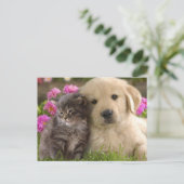 Kute dieren briefkaart (Staand voorkant)