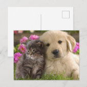 Kute dieren briefkaart (Voorkant / Achterkant)