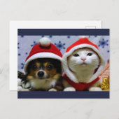 Kute dieren briefkaart (Voorkant / Achterkant)