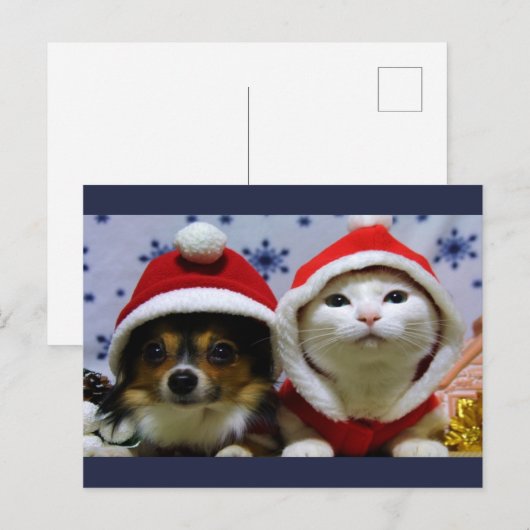 Kute dieren briefkaart (Voorkant / Achterkant)