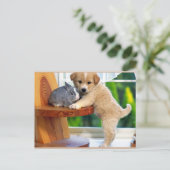 Kute dieren briefkaart (Staand voorkant)