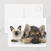 Kute dieren briefkaart (Voorkant / Achterkant)