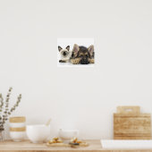 Kute dieren poster (Keuken)