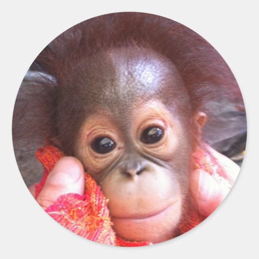 Kute dieren ronde sticker (Voorkant)