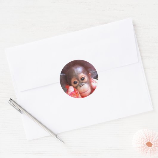 Kute dieren ronde sticker (Envelop)