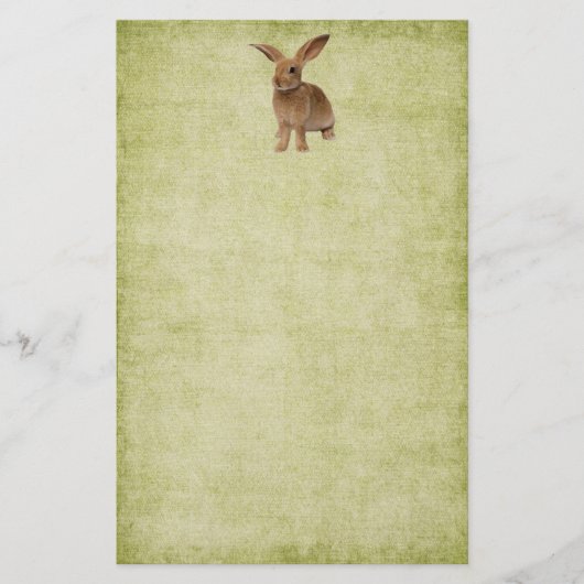 Kute diskette Bunny- Stationery-No-linnen Briefpapier (Voorkant)