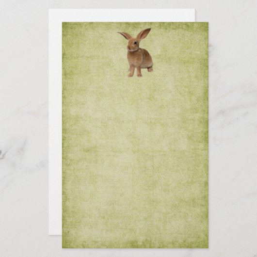 Kute diskette Bunny- Stationery-No-linnen Briefpapier (Voorkant / Achterkant)