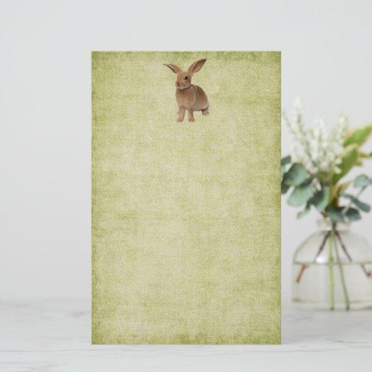 Kute diskette Bunny- Stationery-No-linnen Briefpapier (Staand voorkant)