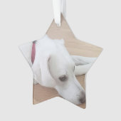 Kute dog met rode kraag kerstster ornament (voorkant)