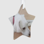 Kute dog met rode kraag kerstster ornament (voorkant)
