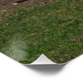 Kute Donkey die na een zandbad rust Perfect Poster (Hoek)