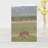 Kute Donkey in een landveld Kaart (Gele Bloem)