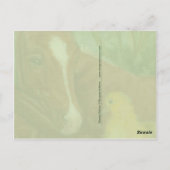 Kute eenden en briefkaart van foeragel (Achterkant)