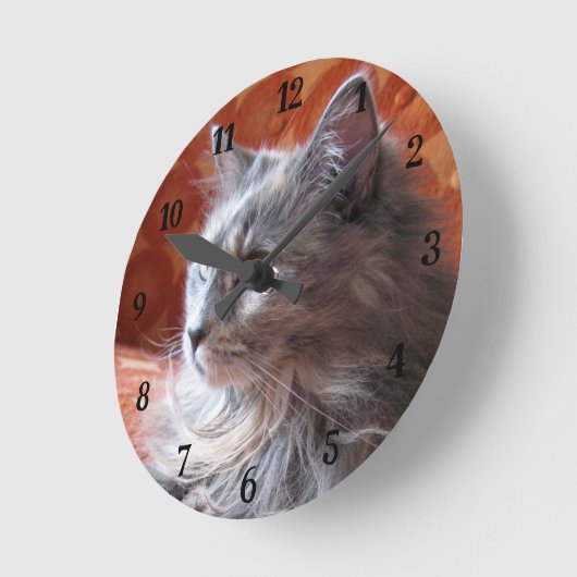 Kute en fluffy grijze ronde klok (Hoek)