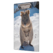 Kute en happy Quokka op het strand Australië Klembord (Links)