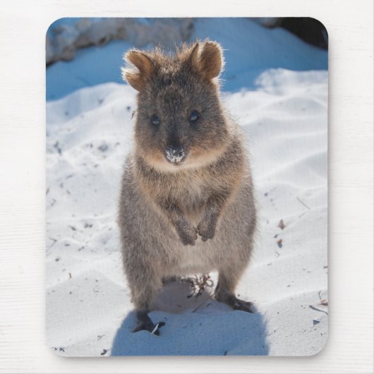 Kute en happy Quokka op het strand verticaal Muismat (Voorkant)