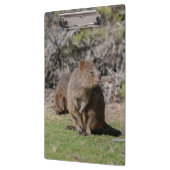 Kute en happy Quokkas in Australië Klembord (Links)