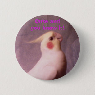 Kute en je weet het. ronde button 5,7 cm