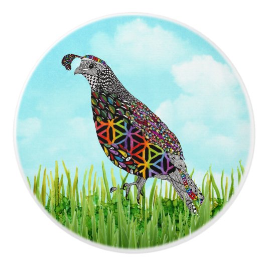 Kute en kleurrijke Quail Deurknop voor gebergte Keramische Knop (Voorkant)