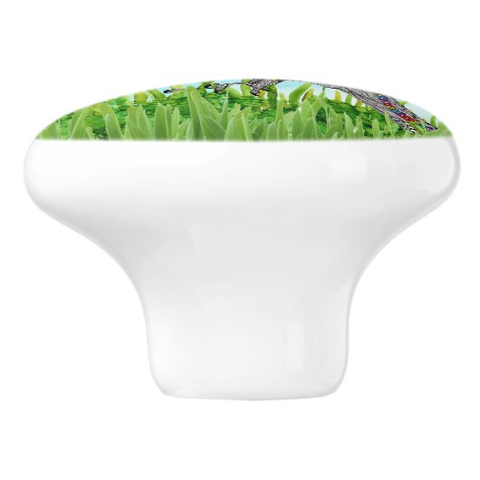 Kute en kleurrijke Quail Deurknop voor gebergte Keramische Knop (Zijkant)