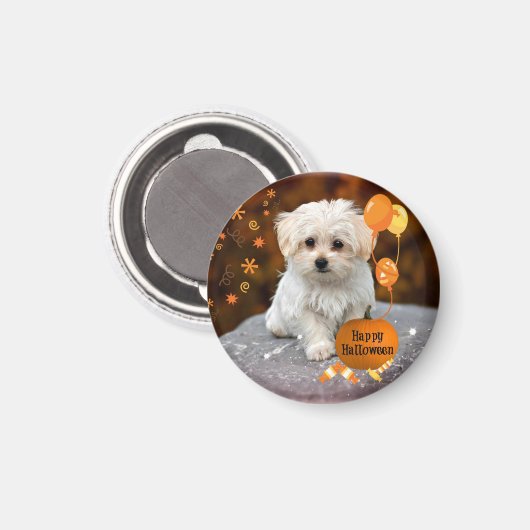 Kute en kutsmaffe maltese puppy viert Halloween Magneet (Voorkant / Achterkant)