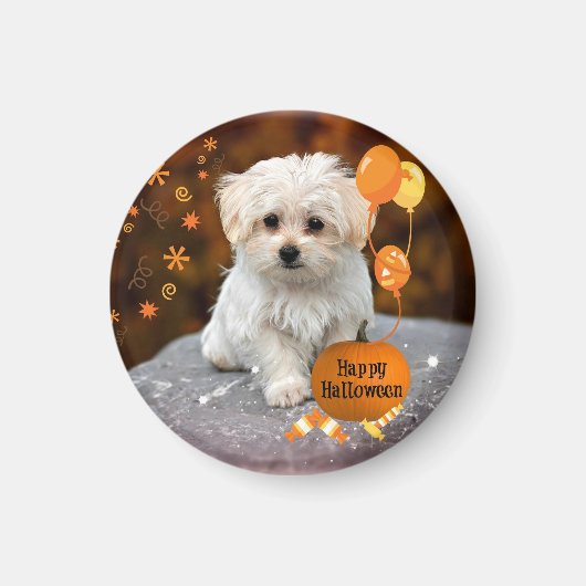 Kute en kutsmaffe maltese puppy viert Halloween Magneet (Voorkant)