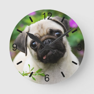 Kute Fawn Color Pug Puppy Dog Portrait dial-bord Ronde Klok