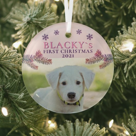 Kute first-kerstfoto Puppy Pink-kerstfoto Glas Ornament (Insitu)