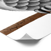 Kute Fluffy Grey Owl op een Tak, Witte Achtergrond Poster (Hoek)