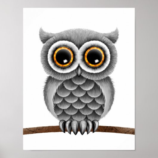 Kute Fluffy Grey Owl op een Tak, Witte Achtergrond Poster (Voorkant)