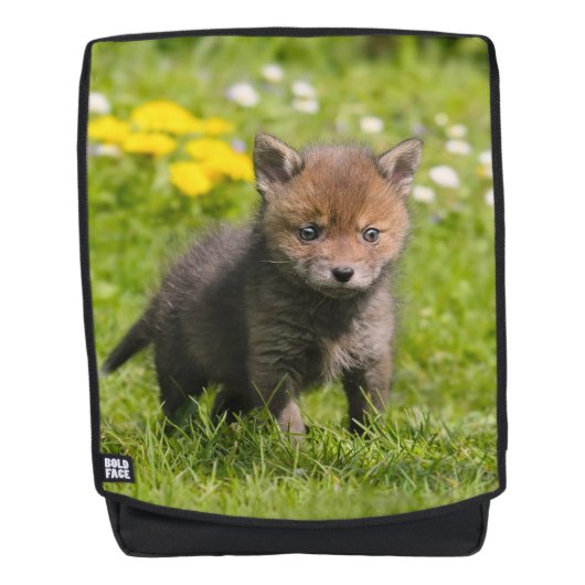 Kute fluffy Red Fox Cub Wilde Baby Animal Bolface Rugtassen (Voorkant)