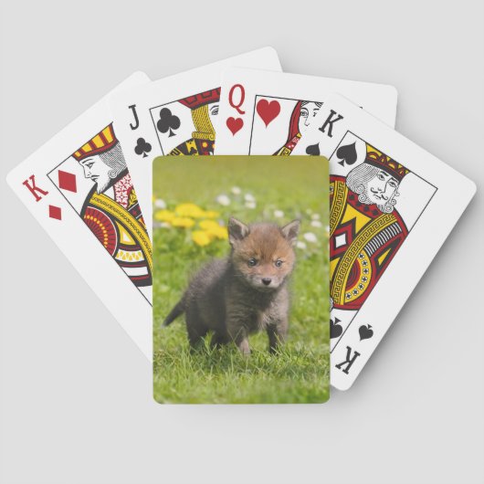 Kute fluffy Red Fox Cub Wilde Baby Animal, Spelen Pokerkaarten (Achterkant)