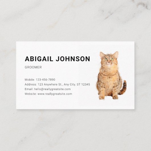 Kute fluffy Sinaasappel Cat Grooming Visitekaartje (Achterkant)