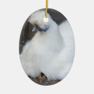 Kute fluffy White Chicken and Chick ornament