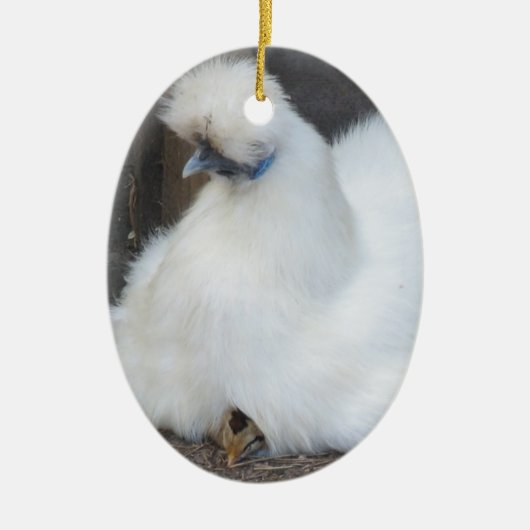 Kute fluffy White Chicken and Chick ornament (Voorkant)