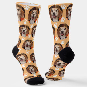 Kute foto's en schilderafdrukken Dog Cat Oranje Kr Sokken