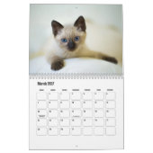 Kute Furry Purry Cat Lovers Calendar Kalender (Mar 2027)