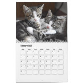 Kute Furry Purry Cat Lovers Calendar Kalender (Feb 2027)