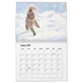 Kute Furry Purry Cat Lovers Calendar Kalender (Jan 2027)