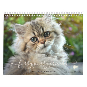 Kute Furry Purry Cat Lovers Calendar Kalender
