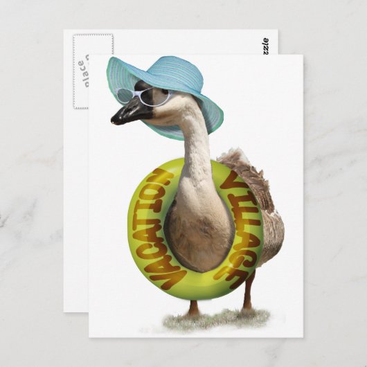 Kute gans met zomerse Petten en zonnebrillen Briefkaart (Voorkant / Achterkant)