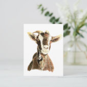 Kute geit, dier, Boerderij Briefkaart (Staand voorkant)