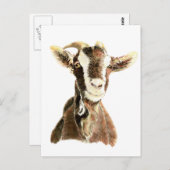 Kute geit, dier, Boerderij Briefkaart (Voorkant / Achterkant)