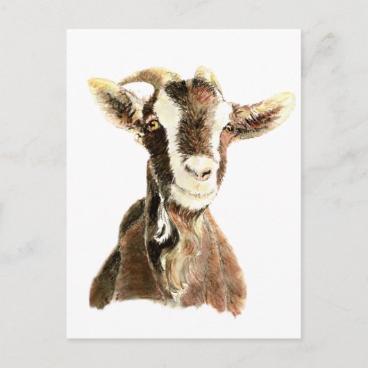 Kute geit, dier, Boerderij Briefkaart (Voorkant)