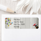 Kute geit en kerstlichten etiket (Insitu)