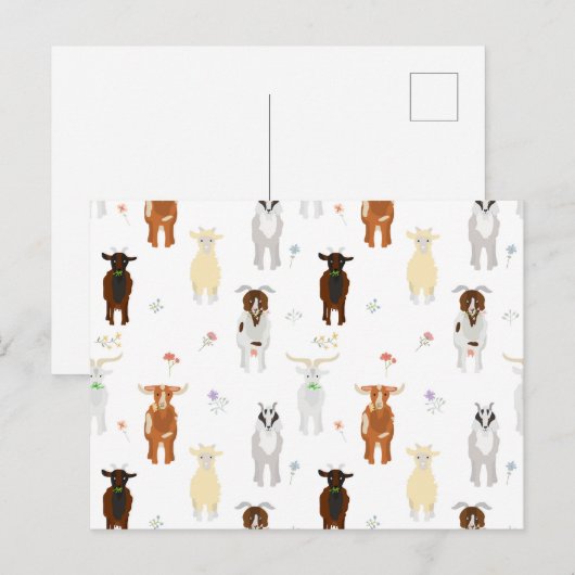 Kute geiten feestdagenkaart (Voorkant / Achterkant)