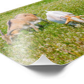 Kute geiten foto afdruk (Hoek)