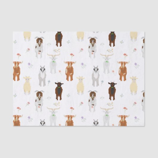 Kute geiten tissuepapier (Voorkant)